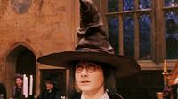 Voz de sombrero seleccionador en Harry Potter demanda a Warner. ¡Entérate!