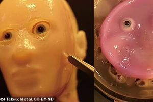 VIDEO: Los robots humanoides creados en japón con piel viva