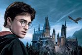 ¡Películas gratis de Harry Potter en CDMX! Te decimos dónde, cuándo y en qué horarios
