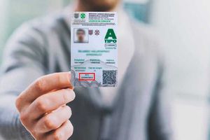 Licencia de conducir permanente y gratis en junio de 2024. Aquí te decimos cómo y dónde tramitarla