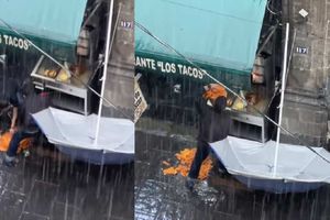 VIDEO: Trompo al pastor cae al suelo y taqueros lo recogen para seguir vendiendo tacos en CDMX