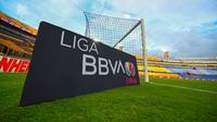 Liga MX Femenil aumentará plazas para extranjeras en el Apertura 2024