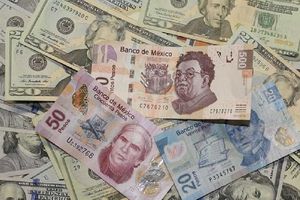 ¿Cuál es el precio del dólar, hoy 31 de julio de 2024?