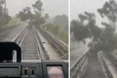 Lluvias sorprenden a la CDMX; el Metro queda afectado por caída de árbol