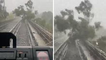Lluvias sorprenden a la CDMX; el Metro queda afectado por caída de árbol