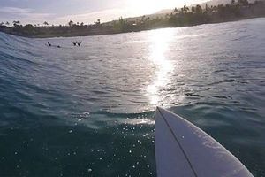 Surfista es rescatado tras pedir ayuda con piedras