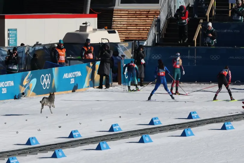 Las atletas reaccionaron a la incursión del perro en Milan Cortina | AFP