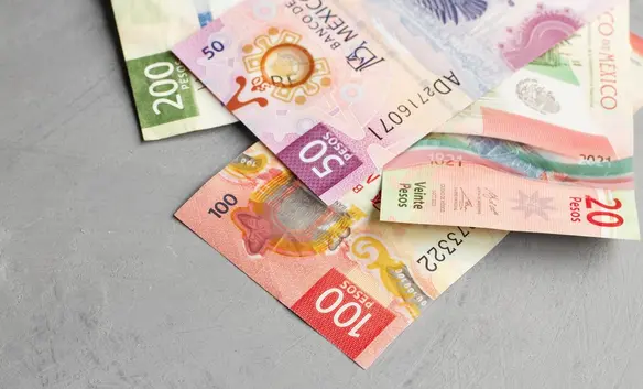 Las personas bajo Ley 73 mantienen el requisito fijo en 500 semanas / FREEPIK