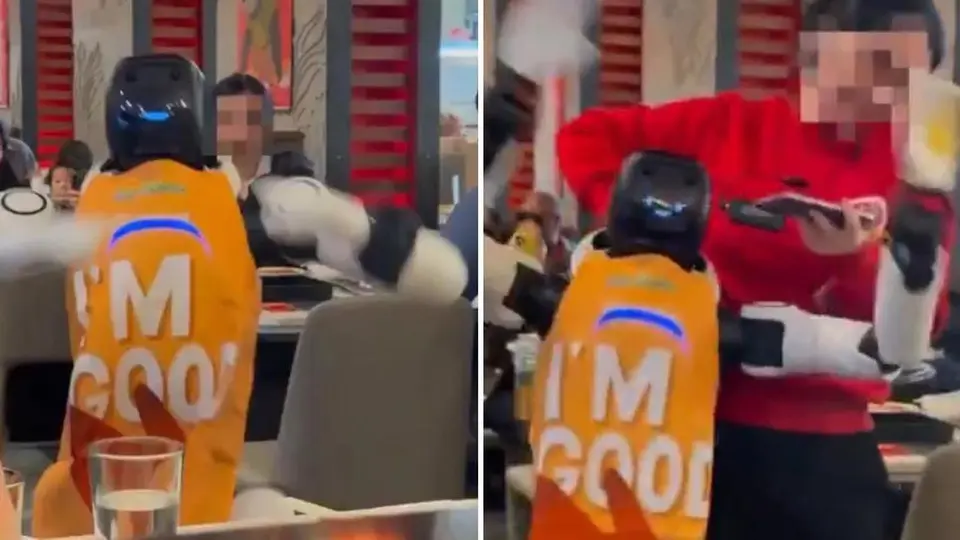 Una falla en su sistema hizo que el androide mesero se convirtiera viral / Redes Sociales