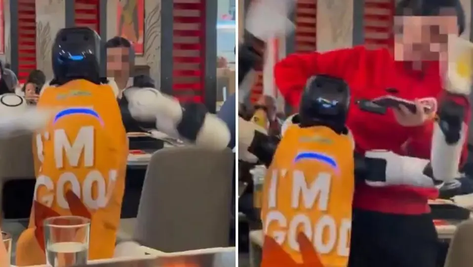 Una falla en su sistema hizo que el androide mesero se convirtiera viral / Redes Sociales