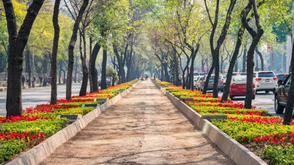 El equinoccio marca el momento exacto en que comienza la primavera en el hemisferio norte./ Pixabay