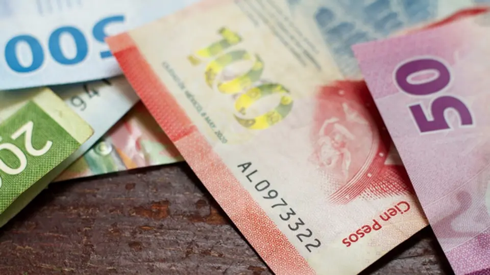 El apoyo económico directo es de seis mil 400 pesos bimestrales / FREEPIK