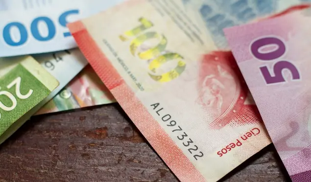 El apoyo económico directo es de seis mil 400 pesos bimestrales / FREEPIK