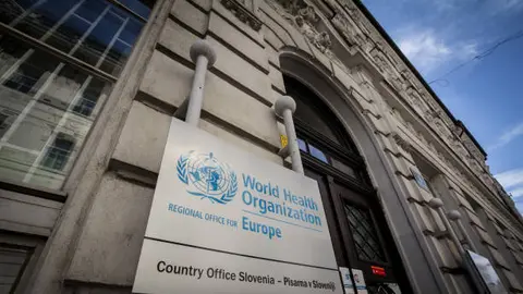 OMS alerta por brotes de hantavirus y ébola durante reunión mundial de salud en Ginebra