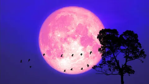 La Luna llena de junio es conocida como Luna de Fresa debido a una tradición ancestral vinculada con los ciclos naturales./ Pixabay