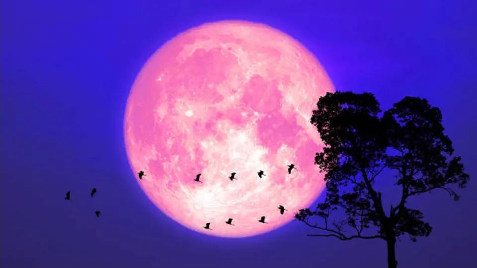 La Luna llena de junio es conocida como Luna de Fresa debido a una tradición ancestral vinculada con los ciclos naturales./ Pixabay