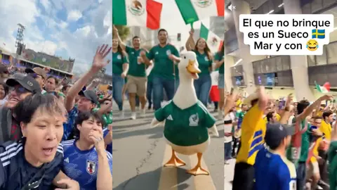 TikTok, la plataforma preferida por mexicanos para viralizar lo que se vive en el Mundial 2026