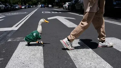 VIDEO: Merlín ya tiene su propio corrido y sigue conquistando a la afición mexicana