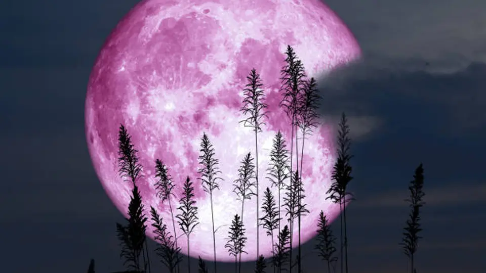 Millones de personas podrán observar la Luna de Fresa 2026 sin necesidad de telescopios o equipo especializado./ Pixabay