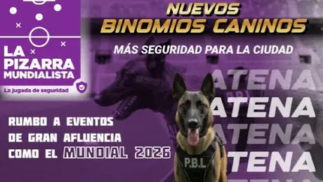 SSC suma a Atena, una perrita especializada para operativos del Mundial 2026