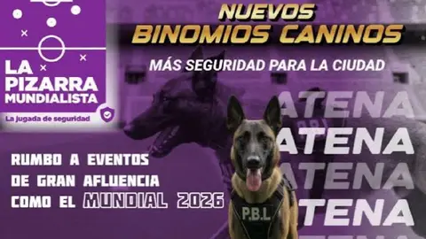 SSC suma a Atena, una perrita especializada para operativos del Mundial 2026