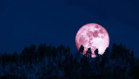 Luna de Fresa 2026: fecha, hora y cómo ver en México el fenómeno astronómico de junio