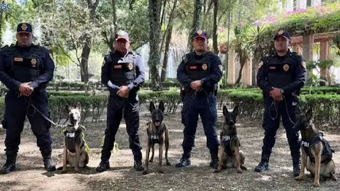 Atena se suma a la estrategia de seguridad de la capital con miras al Mundial 2026, donde la Ciudad de México será una de las sedes. / @SSC_CDMX