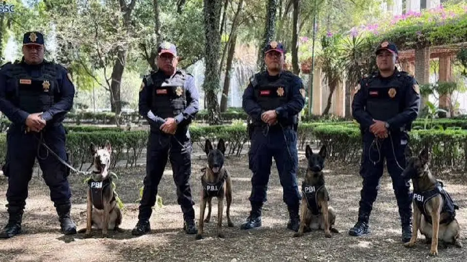 Atena se suma a la estrategia de seguridad de la capital con miras al Mundial 2026, donde la Ciudad de México será una de las sedes. / @SSC_CDMX