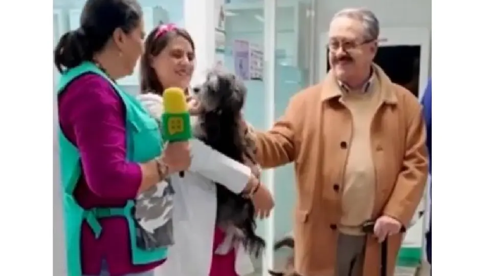 Pedro Sola durante la visita al albergue. / @VentaneandoUno