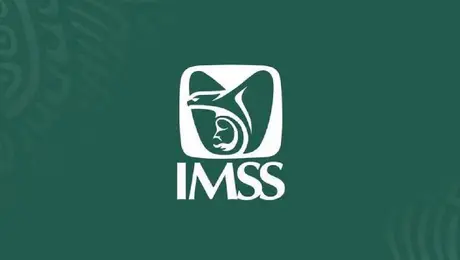 ¡Atención, patrones! El IMSS hará obligatorio este documento para realizar trámites