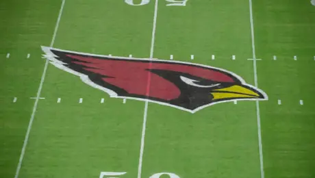 NFL castiga de forma indefinida a director de los Cardinals por apuestas
