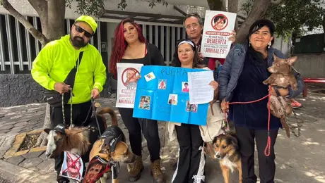 Activistas protestaron afuera de TV Azteca contra Pedro Sola /  VIDEO