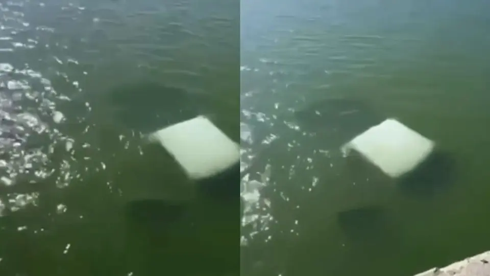 La camioneta en la que viajaban los elementos terminó dentro del río Soto la Marina / Especial