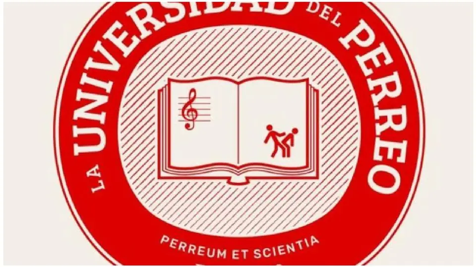 La iniciativa busca llevar la historia del género urbano de los escenarios a un espacio educativo./IG: @wisin