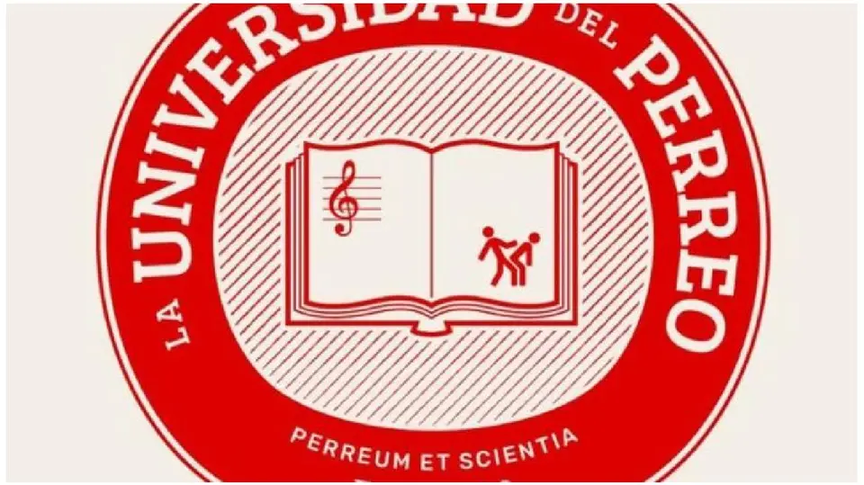 La iniciativa busca llevar la historia del género urbano de los escenarios a un espacio educativo./IG: @wisin
