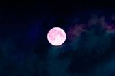 Luna rosa en abril 2024: ¿Qué es, cuándo y dónde verla?