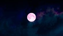 Luna rosa en abril 2024: ¿Qué es, cuándo y dónde verla?