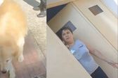¡Se salvó el perrito! Una mujer argentina pretendía comerse a su mascota, pero la denunciaron
