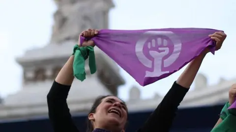 'Día Nacional sin Nosotras', cerca de concretarse; falta la aprobación de la Cámara de Senadores