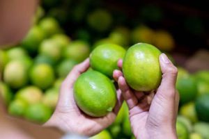 ¡Atención! El precio del kilo de limón ha aumentado en todo México