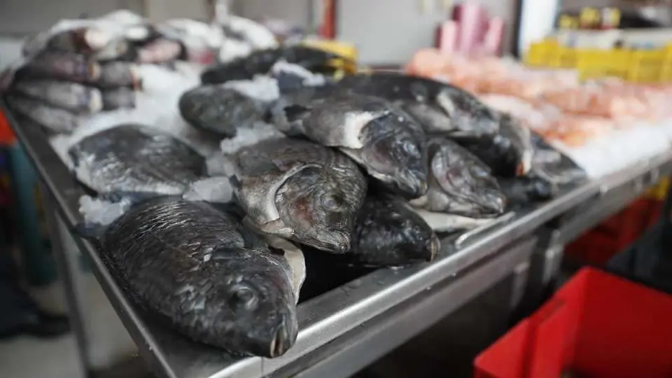 Semana Santa 2024: Conoce el precio de los mariscos y pescados para esta temporada de cuaresma