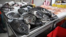 Semana Santa 2024: Conoce el precio de los mariscos y pescados para esta temporada de cuaresma