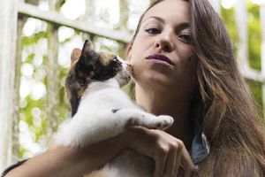 ¿Buscas trabajo? Empresa paga 163 mil pesos sólo por abrazar gatos