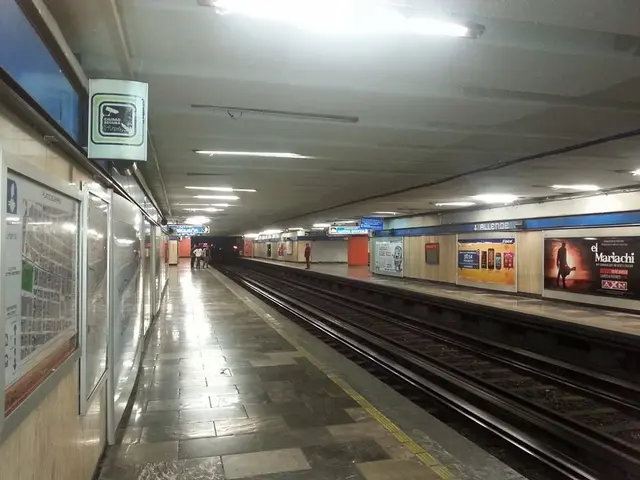 El hecho sucedió la tarde del viernes y afectó temporalmente la operación de los trenes.