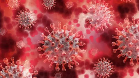 La gripe aviar puede ser una pandemia peor que la del Covid-19, aseguran expertos