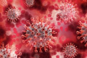 La gripe aviar puede ser una pandemia peor que la del Covid-19, aseguran expertos