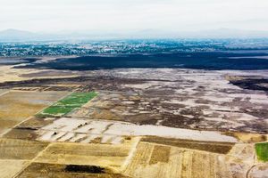 Sequía está desapareciendo la Laguna de Zumpango, en el Estado de México