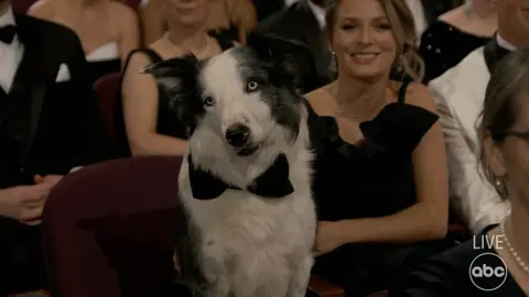 Premios Oscar 2024: ¡'Messi' presente en la ceremonia!