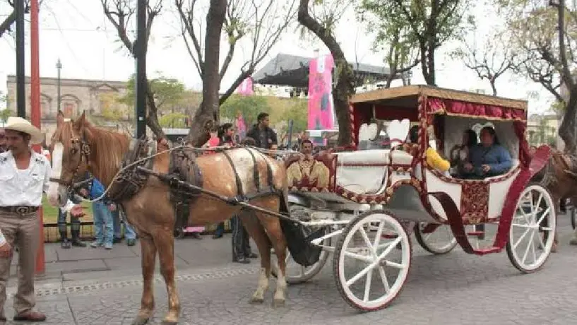 ¡Ya no más calandrias jaladas por caballos en Guadalajara!