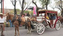 ¡Ya no más calandrias jaladas por caballos en Guadalajara!